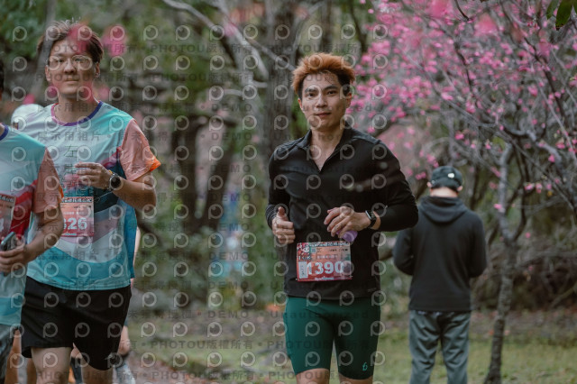2026左岸竹東櫻花馬拉松Zhudong Sakura Marathon