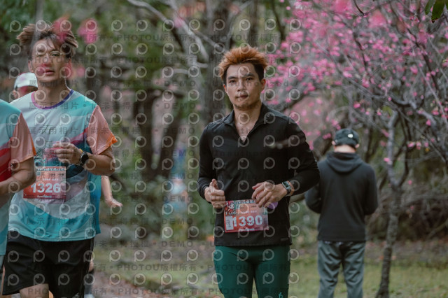 2026左岸竹東櫻花馬拉松Zhudong Sakura Marathon