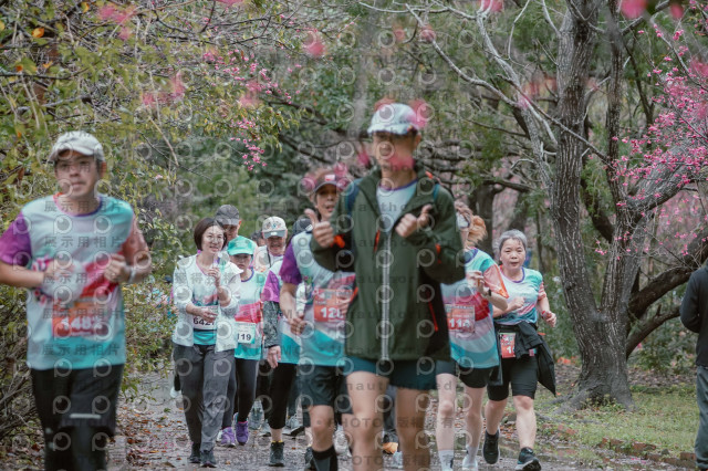 2026左岸竹東櫻花馬拉松Zhudong Sakura Marathon