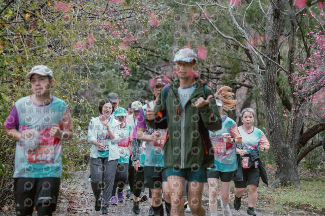 2026左岸竹東櫻花馬拉松Zhudong Sakura Marathon
