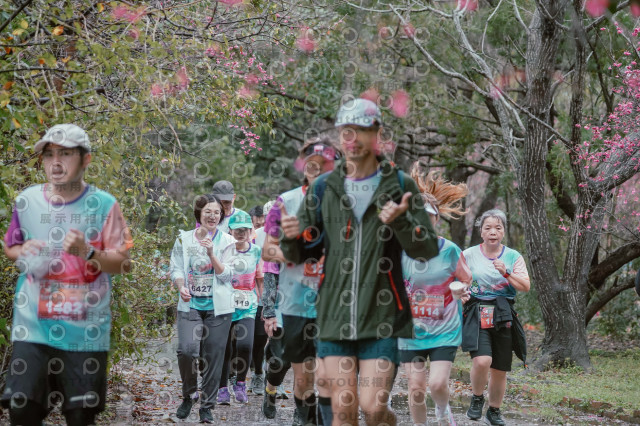2026左岸竹東櫻花馬拉松Zhudong Sakura Marathon