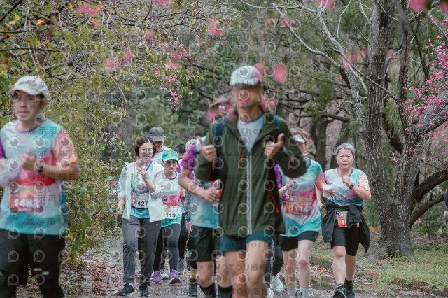 2026左岸竹東櫻花馬拉松Zhudong Sakura Marathon