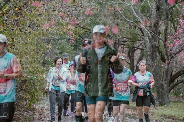 2026左岸竹東櫻花馬拉松Zhudong Sakura Marathon