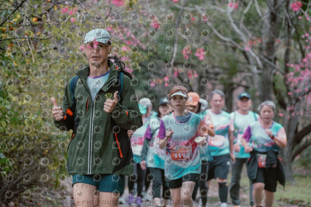 2026左岸竹東櫻花馬拉松Zhudong Sakura Marathon