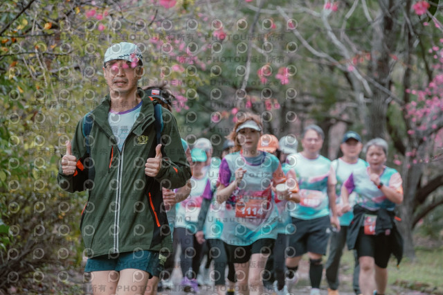 2026左岸竹東櫻花馬拉松Zhudong Sakura Marathon
