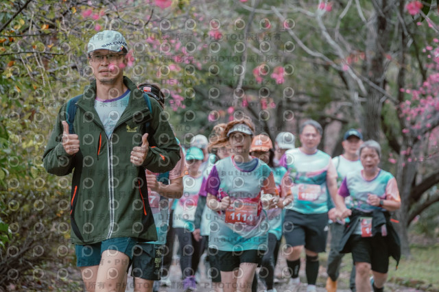 2026左岸竹東櫻花馬拉松Zhudong Sakura Marathon