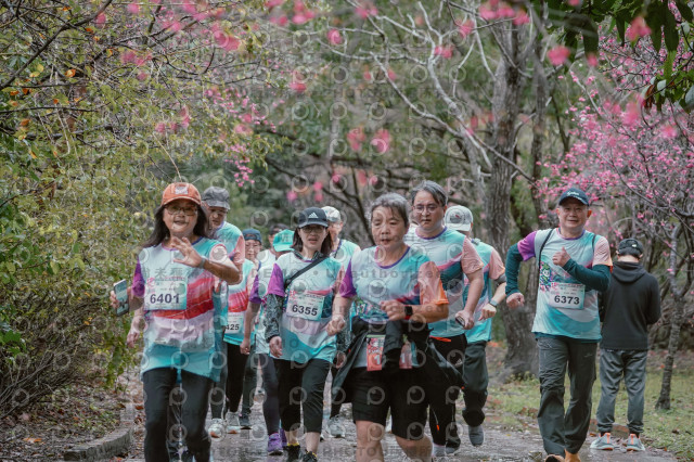 2026左岸竹東櫻花馬拉松Zhudong Sakura Marathon