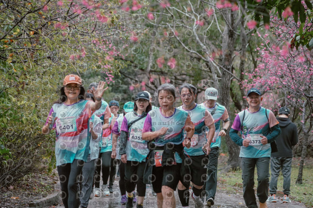 2026左岸竹東櫻花馬拉松Zhudong Sakura Marathon
