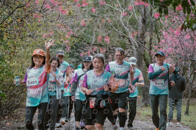 2026左岸竹東櫻花馬拉松Zhudong Sakura Marathon