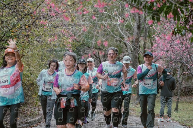2026左岸竹東櫻花馬拉松Zhudong Sakura Marathon