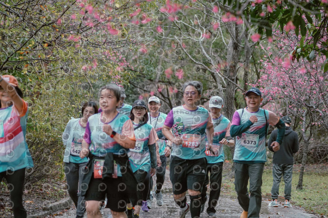 2026左岸竹東櫻花馬拉松Zhudong Sakura Marathon