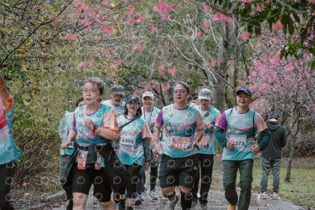 2026左岸竹東櫻花馬拉松Zhudong Sakura Marathon