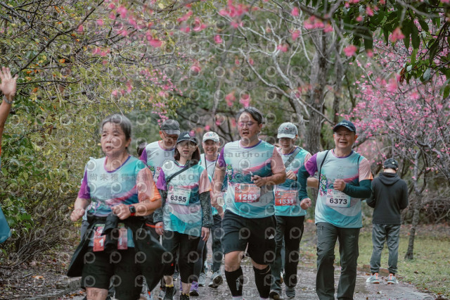 2026左岸竹東櫻花馬拉松Zhudong Sakura Marathon