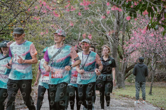 2026左岸竹東櫻花馬拉松Zhudong Sakura Marathon
