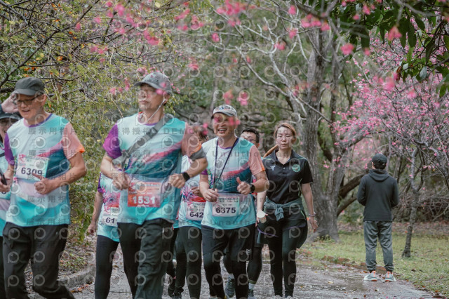 2026左岸竹東櫻花馬拉松Zhudong Sakura Marathon