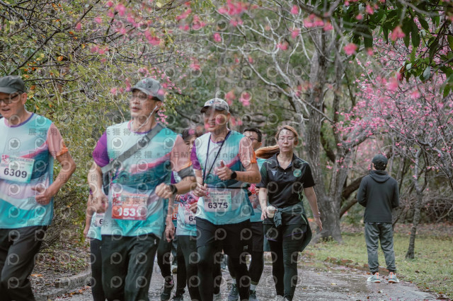 2026左岸竹東櫻花馬拉松Zhudong Sakura Marathon