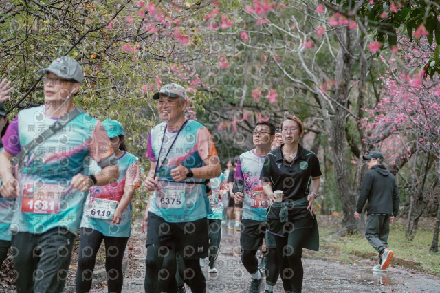 2026左岸竹東櫻花馬拉松Zhudong Sakura Marathon