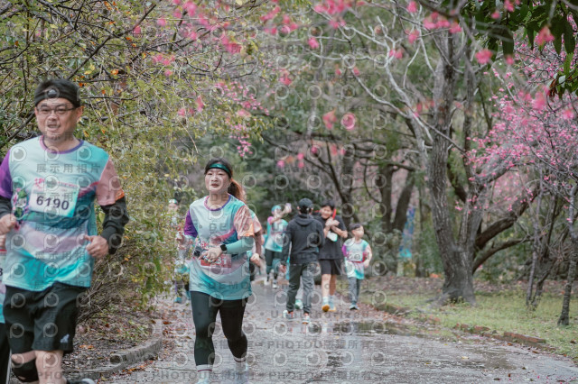 2026左岸竹東櫻花馬拉松Zhudong Sakura Marathon