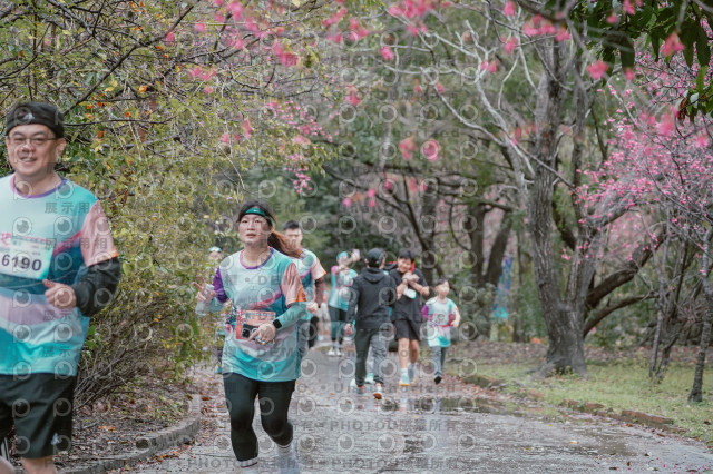 2026左岸竹東櫻花馬拉松Zhudong Sakura Marathon