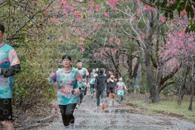 2026左岸竹東櫻花馬拉松Zhudong Sakura Marathon