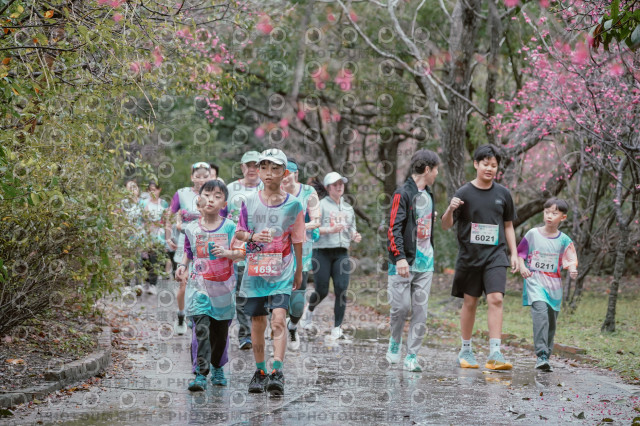 2026左岸竹東櫻花馬拉松Zhudong Sakura Marathon
