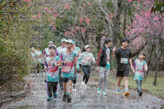 2026左岸竹東櫻花馬拉松Zhudong Sakura Marathon