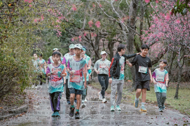 2026左岸竹東櫻花馬拉松Zhudong Sakura Marathon