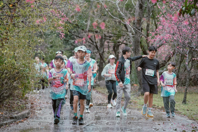 2026左岸竹東櫻花馬拉松Zhudong Sakura Marathon