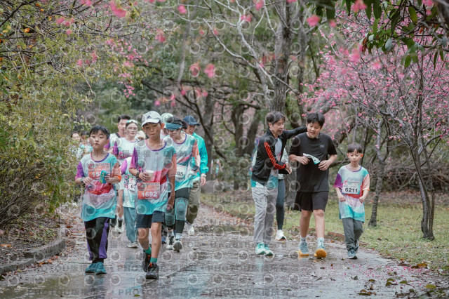 2026左岸竹東櫻花馬拉松Zhudong Sakura Marathon