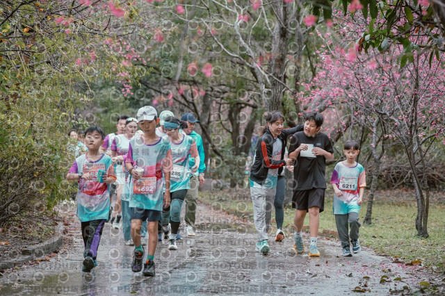 2026左岸竹東櫻花馬拉松Zhudong Sakura Marathon