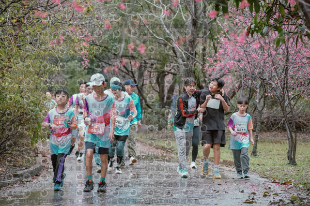 2026左岸竹東櫻花馬拉松Zhudong Sakura Marathon