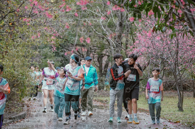 2026左岸竹東櫻花馬拉松Zhudong Sakura Marathon
