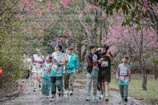 2026左岸竹東櫻花馬拉松Zhudong Sakura Marathon