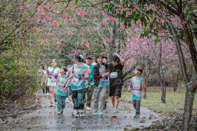 2026左岸竹東櫻花馬拉松Zhudong Sakura Marathon
