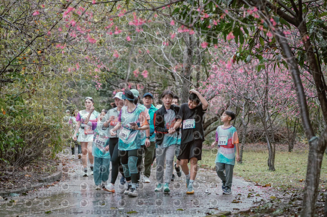 2026左岸竹東櫻花馬拉松Zhudong Sakura Marathon