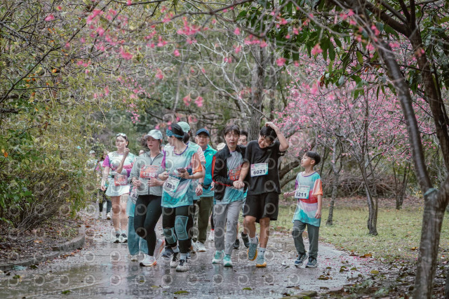 2026左岸竹東櫻花馬拉松Zhudong Sakura Marathon