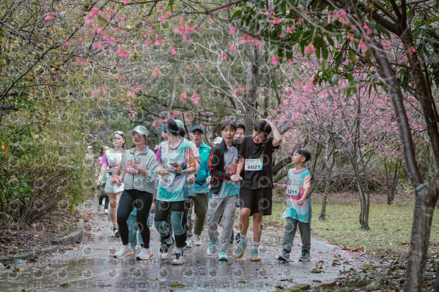 2026左岸竹東櫻花馬拉松Zhudong Sakura Marathon