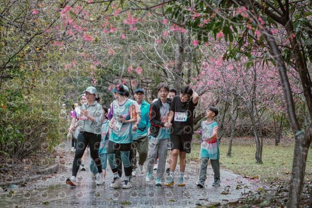 2026左岸竹東櫻花馬拉松Zhudong Sakura Marathon