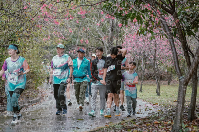 2026左岸竹東櫻花馬拉松Zhudong Sakura Marathon
