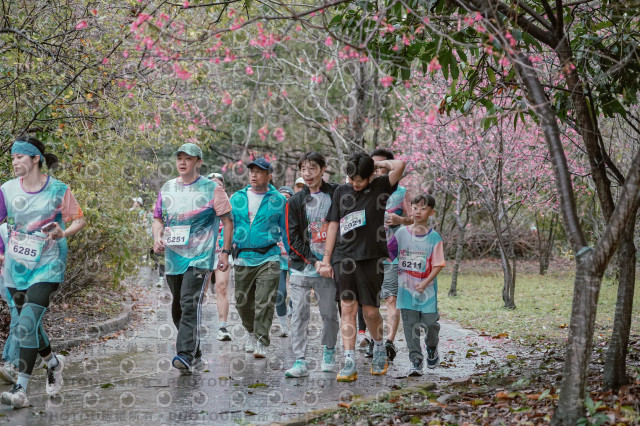 2026左岸竹東櫻花馬拉松Zhudong Sakura Marathon