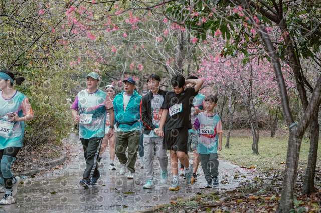 2026左岸竹東櫻花馬拉松Zhudong Sakura Marathon