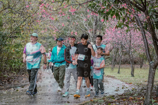 2026左岸竹東櫻花馬拉松Zhudong Sakura Marathon