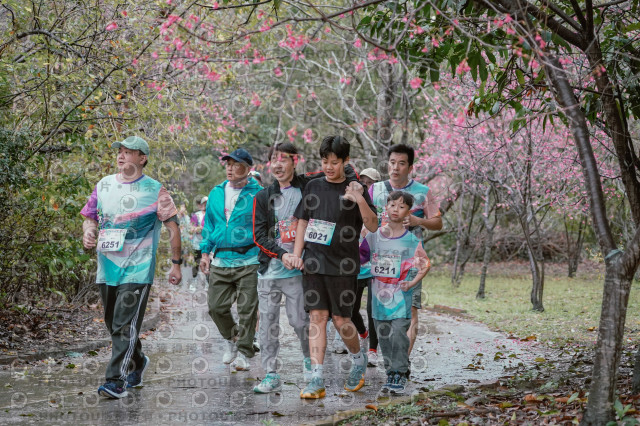 2026左岸竹東櫻花馬拉松Zhudong Sakura Marathon