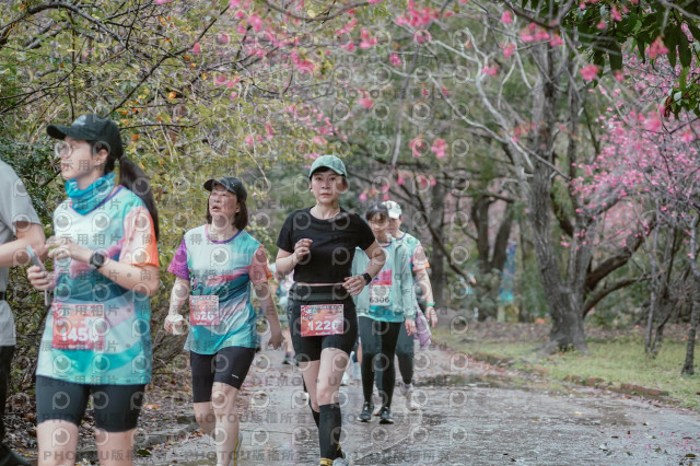 2026左岸竹東櫻花馬拉松Zhudong Sakura Marathon