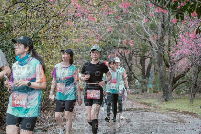 2026左岸竹東櫻花馬拉松Zhudong Sakura Marathon