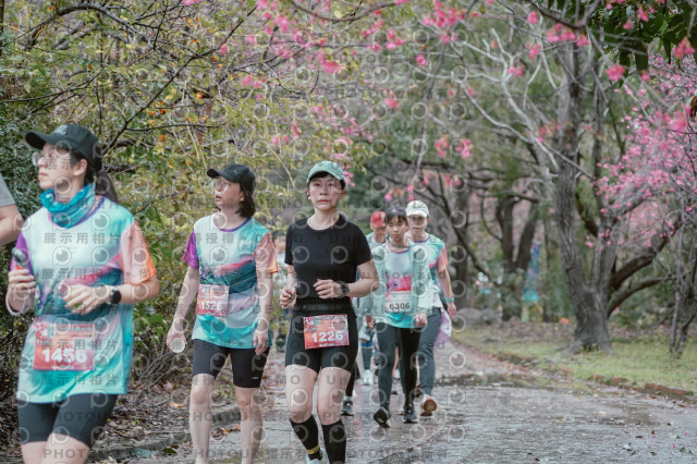 2026左岸竹東櫻花馬拉松Zhudong Sakura Marathon