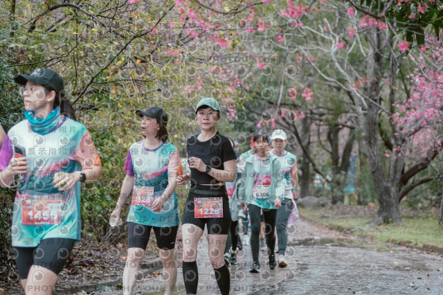 2026左岸竹東櫻花馬拉松Zhudong Sakura Marathon