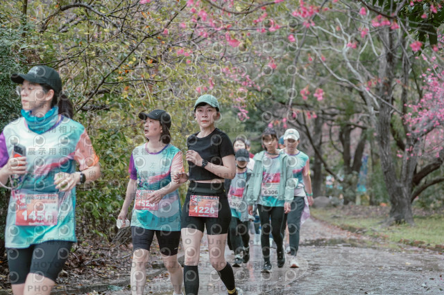 2026左岸竹東櫻花馬拉松Zhudong Sakura Marathon
