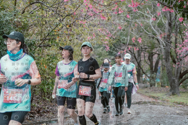 2026左岸竹東櫻花馬拉松Zhudong Sakura Marathon