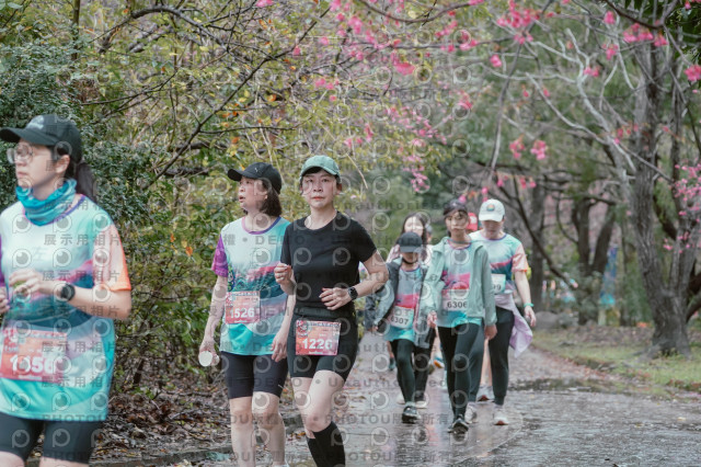 2026左岸竹東櫻花馬拉松Zhudong Sakura Marathon